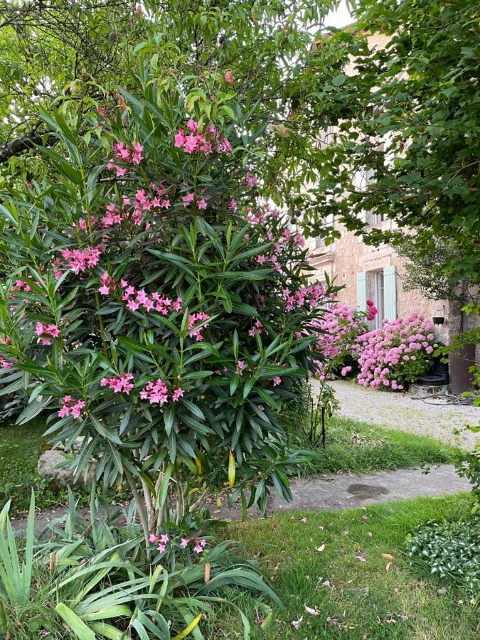 La Maison D'Hortense Et Lili Allemans Eksteriør billede
