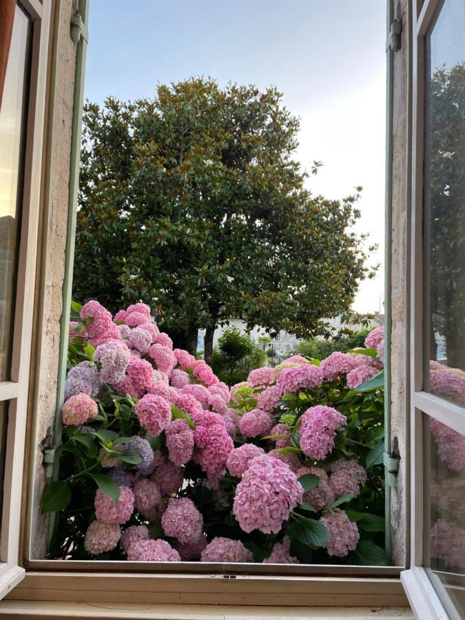 La Maison D'Hortense Et Lili Allemans Eksteriør billede